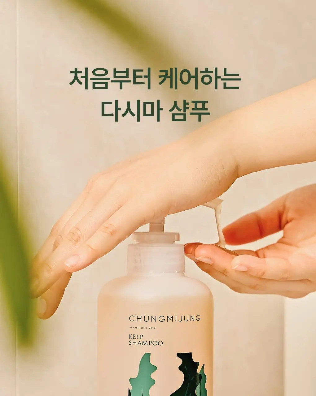 [1위 다시마샴푸] 청미정 다시마 샴푸&트리트먼트 듀오 기획 상세페이지 17